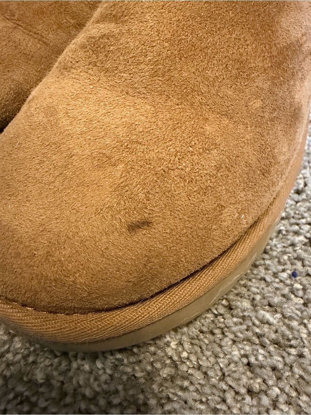 UGG Chestnut Suede Shearling-Lined Ankle Booties - Picture 6 of 8